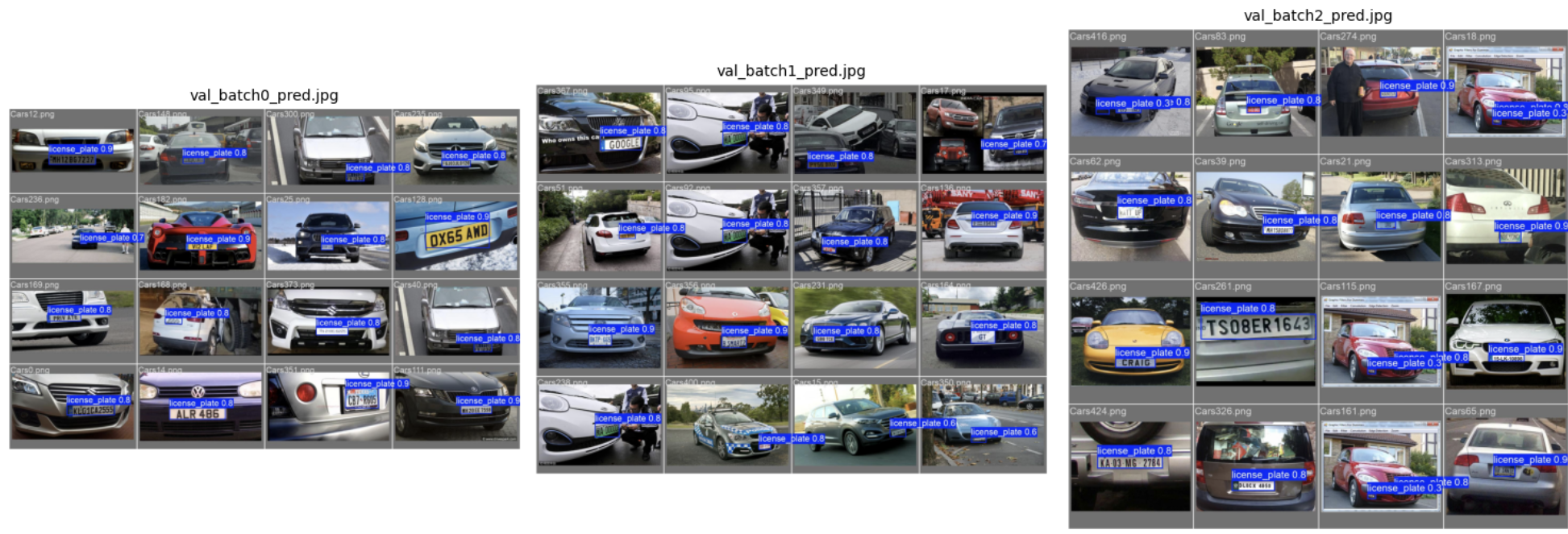 Detected Plates 1